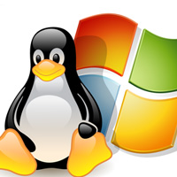 Linux o Windows, ¿cuál es el mejor hosting para mi web?