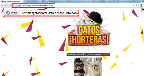 gatos-horteras-dominio-blog-hostalia-hosting