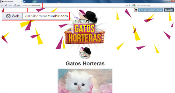 gatos-horteras-tumblr-blog-hostalia-hosting